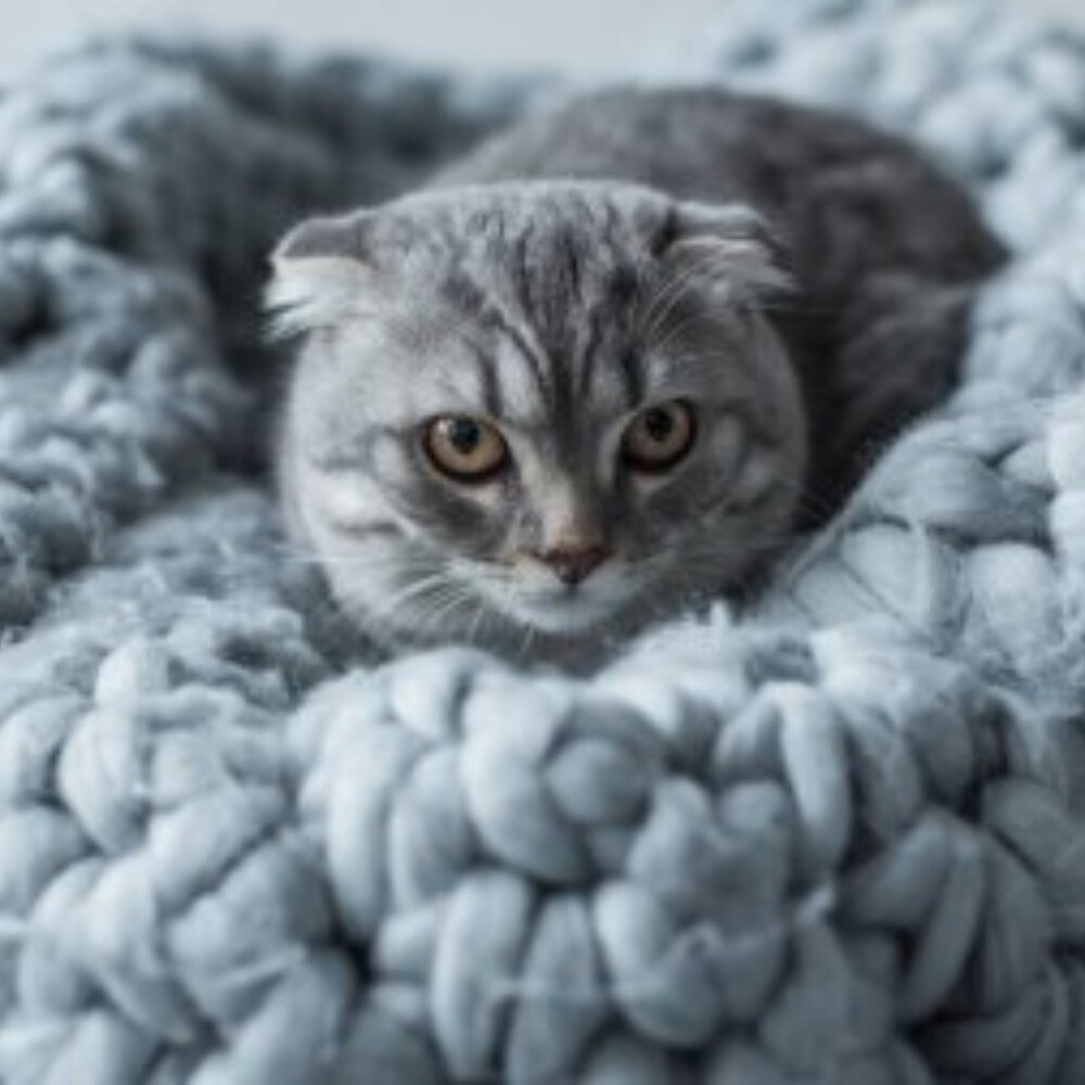 Meet your Posher, Edgardo